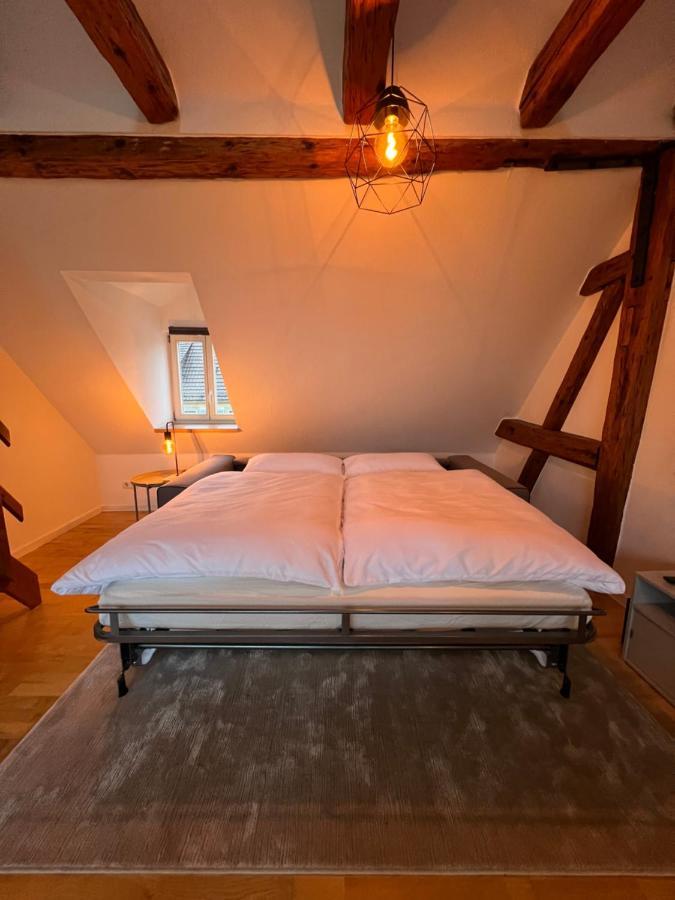 Ludwigshome Zentralste Lage, Klima, Smarttv, Terrasse Ludwigsburg Bagian luar foto